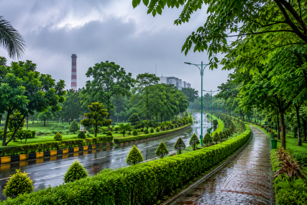 rain2