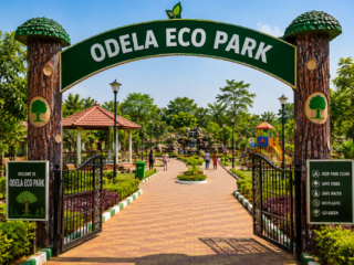 odela
