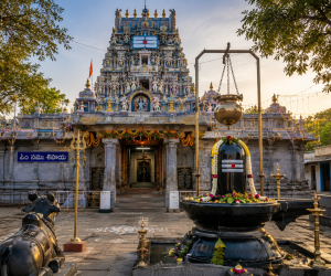 Gallery shiv